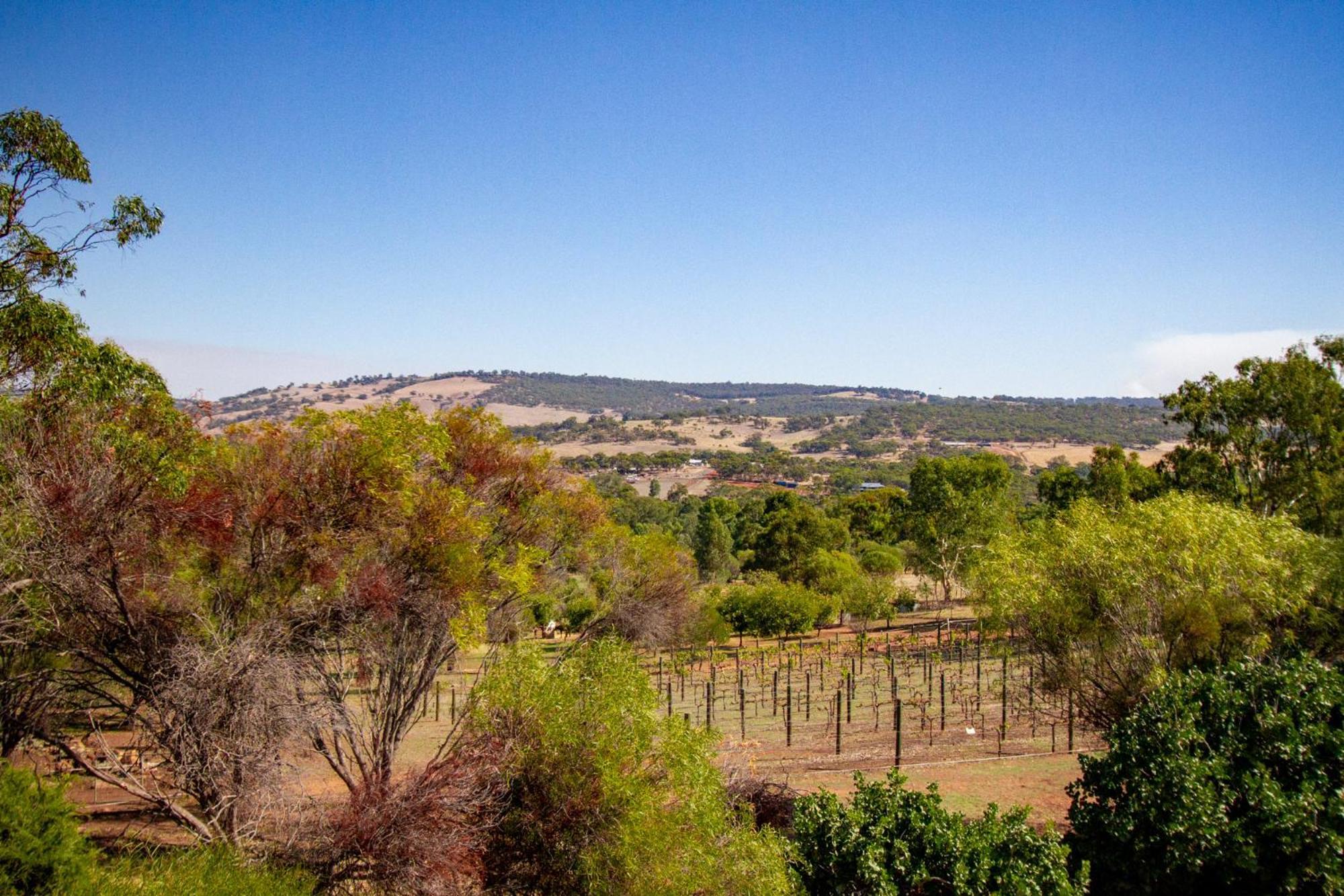 Pecan Hill Bnb Toodyay Exterior foto